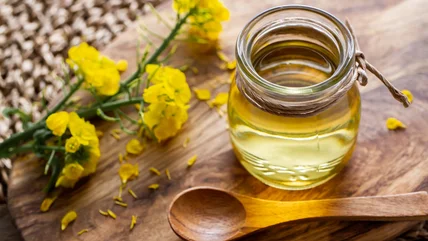 Sự thật sai lầm về dầu Canola mà bạn nghĩ là đúng