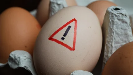 11 Signs Eggs Are Not Safe To Eat