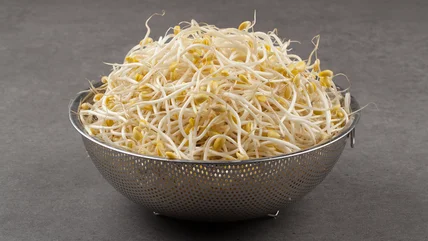 Are Canned Bean Sprouts Raw Or Cooked?