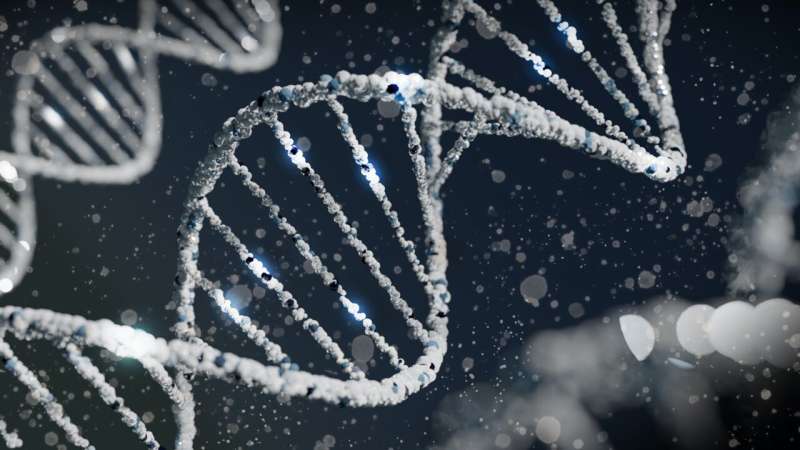 Researchers identify novel genetic variants associated with Alzheimer's disease