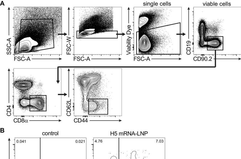 Các nhà nghiên cứu phát triển vắc xin cảm cúm MRNA thử nghiệm