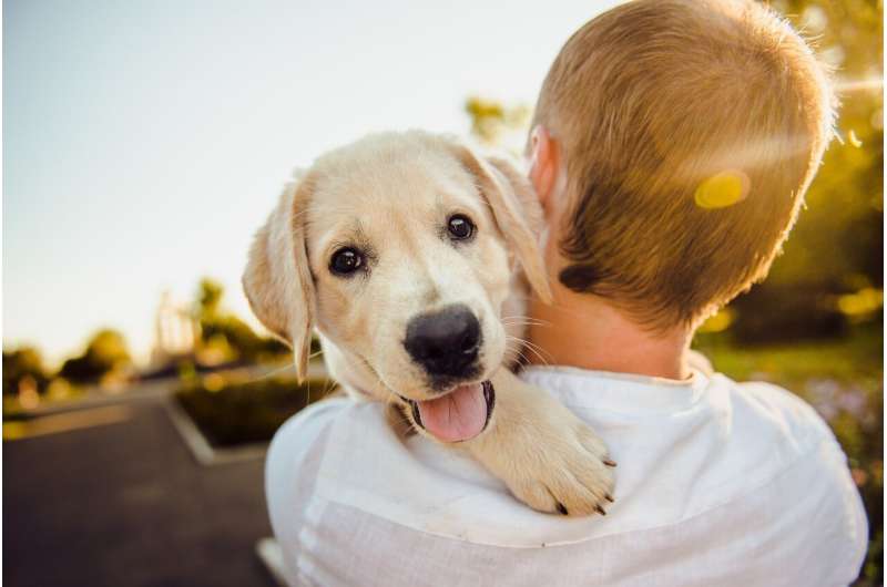 Các nhà nghiên cứu tìm thấy mối liên hệ giữa các khối u não ở người và chó