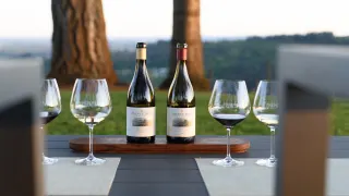 Hoàng tử Hill Vineyards ở thung lũng Willamette ở Oregon là dự án mới nhất từ một người Napa yêu thích