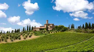 Làm thế nào Banfi trở thành quản lý của Di sản Brunello ở Tuscany