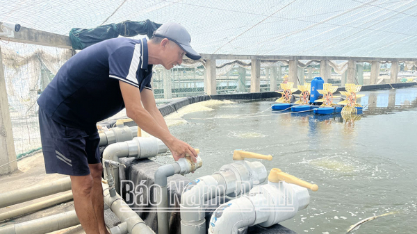 Bảo đảm an toàn vùng nuôi thủy sản trong mùa mưa bão