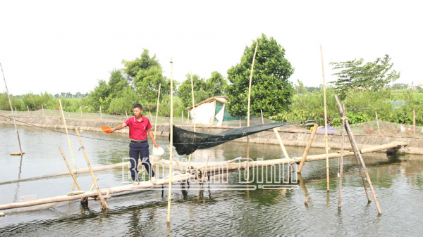 Nông dân Trực Ninh thi đua sản xuất, kinh doanh giỏi