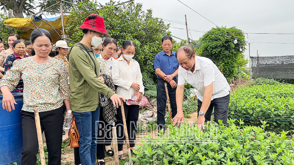 "Tiếp sức" hiệu quả cho phụ nữ nghèo