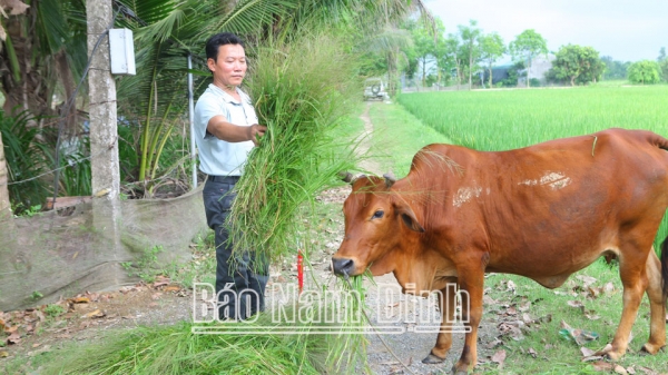 Đa dạng các nguồn vốn giúp nông dân phát triển kinh tế