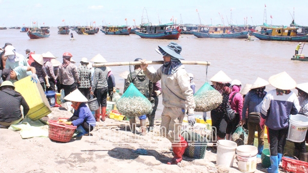 Ngư dân phấn khởi ra khơi đầu năm