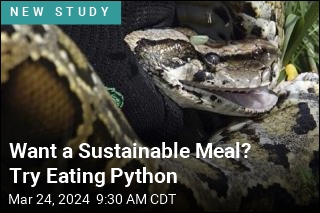 Want a Sustainable Meal? Try Eating Python