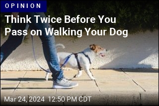 Think Twice Before You Pass on Walking Your Dog