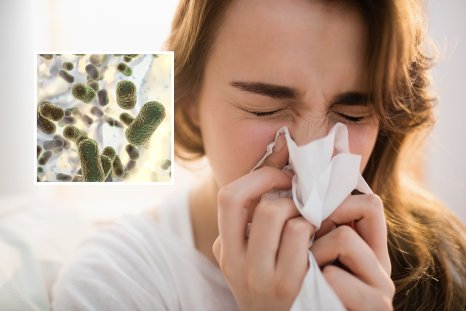 Our Homes Are 'Too Clean,' Should Be Seeded With Germs, Says Researcher