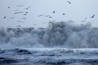 Bão mùa đông gây ra cảnh báo về tác động 'chết người' ở California