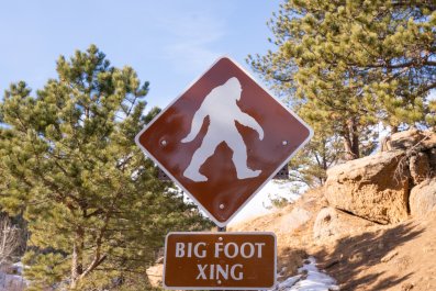 Những trường hợp nhìn thấy Bigfoot ở Hoa Kỳ có thể có một lời giải thích đơn giản