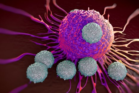 Scientists Discover How Cancer Creates 'Acid Wall' Against Immune System