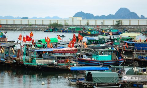 Tranh chấp ngư trường biển Cà Mau: Bộ NN&PTNT đề nghị xử lý nghiêm