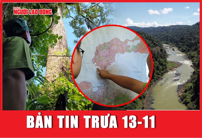 Bản tin chiều 13-11: 35 người tử vong do sốt xuất huyết, số ca mắc tăng cao