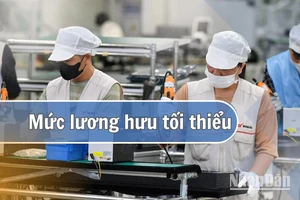 Cần nghiên cứu, đề xuất mức lương hưu tối thiểu