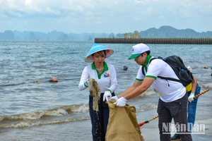 [Ảnh] Việt Nam-EU: Chung tay vì môi trường sạch