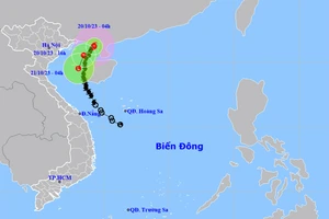 Bão số 5 gây biển động rất mạnh, sóng lớn trên vịnh Bắc Bộ