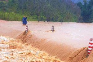 Các tỉnh từ Quảng Bình đến Phú Yên khẩn trương ứng phó với mưa lũ