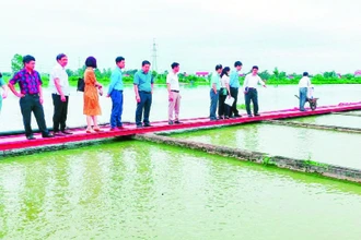 Huyện Thanh Trì hướng tới xây dựng nông thôn mới kiểu mẫu