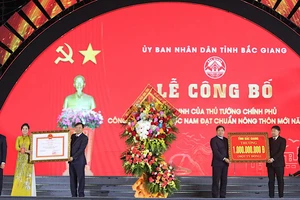 Bắc Giang: Huyện Lục Nam đạt chuẩn nông thôn mới