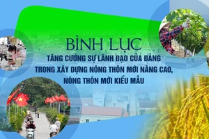 Bình Lục tăng cường sự lãnh đạo của Đảng trong xây dựng nông thôn mới nâng cao, nông thôn mới kiểu mẫu