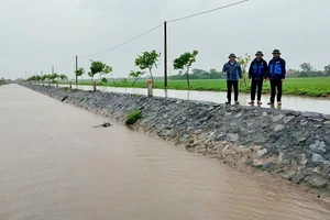 Ninh Bình sẵn sàng các giải pháp tiêu úng bảo vệ lúa và hoa màu