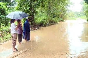 Tuyên Quang: một người thiệt mạng do bị lũ cuốn