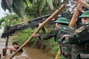 Thái Bình: Sơ tán hơn 4.000 dân, xử lý chống tràn một số tuyến đê bối