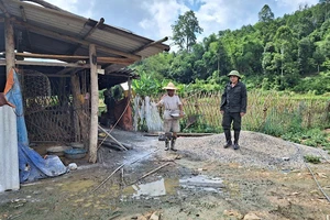 Tái bùng phát dịch tả lợn châu Phi tại Bắc Kạn