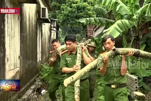 Hà Nam: Công an giúp dân khắc phục hậu quả sau cơn bão số 3