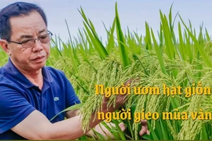 Người ươm hạt giống, người gieo mùa vàng