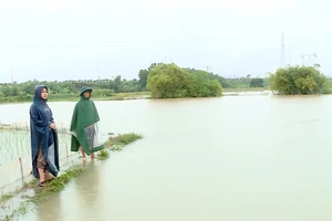 Tuyên Quang mưa lớn kéo dài gây thiệt hại về nhà ở và nhiều diện tích cây nông nghiệp