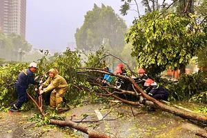 Bắc Ninh: Khẩn trương khắc phục hậu quả, nhanh chóng ổn định sản xuất và đời sống nhân dân sau bão