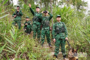 Lạng Sơn: Nỗ lực, ngăn chặn thực phẩm nhập lậu