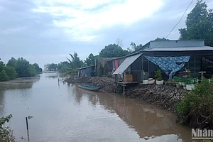 Sóng biển tàn phá tài sản, nhà dân vùng ven biển Cà Mau