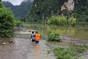 Lạng Sơn: Cứu người bệnh suy thận nặng qua cơn nguy