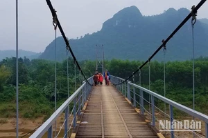 Quảng Bình chỉ đạo tăng cường quản lý, bảo trì các công trình cầu treo