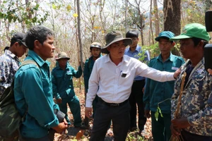 Ninh Thuận chủ động phòng, chống cháy rừng mùa khô