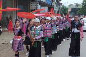 Ra mắt ứng dụng du lịch thông minh “Mộc Châu Tour”