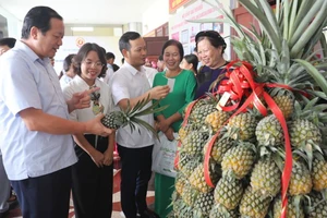 Công bố nhãn hiệu chứng nhận “Dứa Lạng Giang”