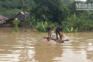 Ước tính thiệt hại gần 73 tỷ đồng do mưa lũ tại thành phố Sơn La