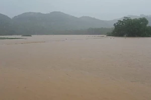 Mưa lớn gây ngập úng nhiều địa phương ở Hà Giang