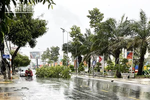 Sóc Trăng chủ động ứng phó với áp thấp nhiệt đới và mưa lớn