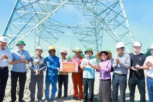 Kiểm tra tiến độ thi công dự án đường dây 500kV mạch 3 đoạn qua địa bàn Nghệ An