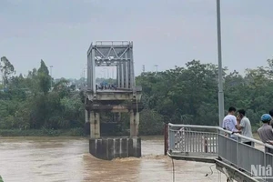 Lũ lớn làm sập cầu Phong Châu tại Phú Thọ