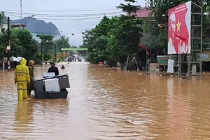 Nghệ An mưa lớn kéo dài, nhiều huyện miền núi bị ngập lụt, sạt lở