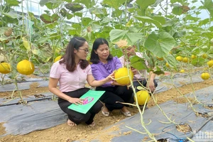 “Điểm tựa” giúp đồng bào dân tộc ở Cao Bằng thoát nghèo